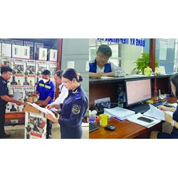 Cục Hải quan tổng hợp tình hình đại lý làm thủ tục hải quan ở địa bàn?