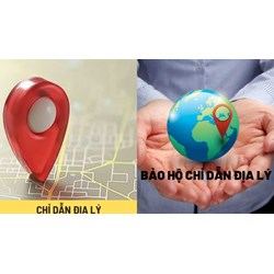 Quy định về quyền đăng ký chỉ dẫn địa lý của Việt Nam