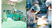 Có phải việc đăng ký hiến tạng có hiệu lực từ khi cơ sở y tế nhận đơn?