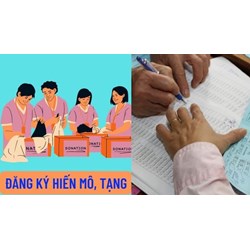 Có được thực hiện việc hiến tạng khi gia đình phản đối hay không?