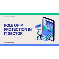 Role of Intellectual Property Rights protection in the IT sector