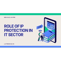 Role of Intellectual Property Rights protection in the IT sector