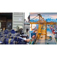 Biện pháp cấm nhập khẩu áp dụng đối với những loại hàng hóa nào?