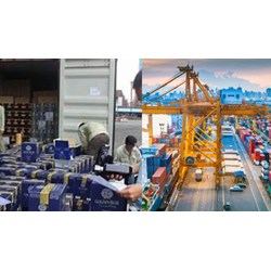 Biện pháp cấm nhập khẩu áp dụng đối với những loại hàng hóa nào?