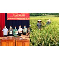 Quỹ Hỗ trợ nông dân bị đánh giá không hoàn thành nhiệm vụ phải giải thể?