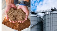 Quy định về xử lý hành chính cơ sở nhập khẩu thức ăn chăn nuôi