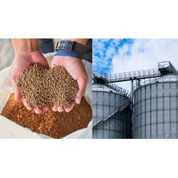 Quy định về xử lý hành chính cơ sở nhập khẩu thức ăn chăn nuôi