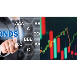Doanh nghiệp bảo hiểm đầu tư mua trái phiếu doanh nghiệp phát hành