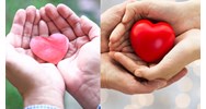Có phải mọi trường hợp đăng ký hiến tạng đều được thực hiện?