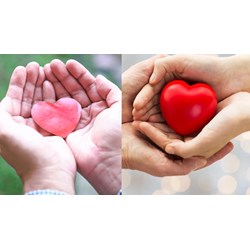 Có phải mọi trường hợp đăng ký hiến tạng đều được thực hiện?