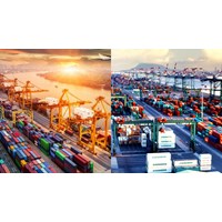 Chấm dứt tư cách hội viên Hiệp hội Doanh nghiệp dịch vụ Logistics Việt Nam trong trường hợp nào?