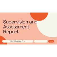 Supervision and Assessment Report of Foreign Capital Investment