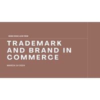 The Value of Trademarks and Brands in Commercial Activities