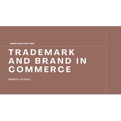 The Value of Trademarks and Brands in Commercial Activities