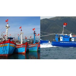 Đặt tên tàu biển Việt Nam dựa trên những nguyên tắc nào?