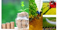 Vốn điều lệ Quỹ hợp tác xã địa phương hoạt động theo mô hình hợp tác xã