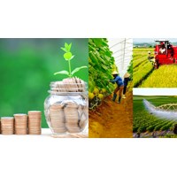 Vốn điều lệ Quỹ hợp tác xã địa phương hoạt động theo mô hình hợp tác xã