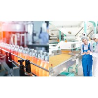 Sản xuất thực phẩm phải truy xuất nguồn gốc khi không bảo đảm an toàn?