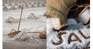 Sản xuất muối tập trung quy mô công nghiệp được đầu tư cơ sở hạ tầng?