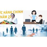 Nghị định 29/2024/NĐ-CP về tiêu chuẩn chức danh công chức quản lý