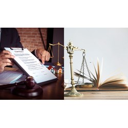 Người bị tố cáo có được đối chấp trực tiếp với người tố cáo?