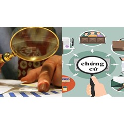 Kết luận giám định có được xem là chứng cứ trong vụ án hình sự?