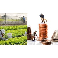 Quy định mới về huy động vốn của hợp tác xã, liên hiệp hợp tác xã