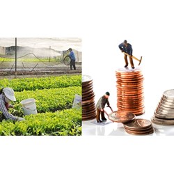 Quy định mới về huy động vốn của hợp tác xã, liên hiệp hợp tác xã