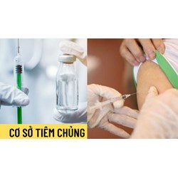 Chủ tịch Huyện được xử phạt cơ sở tiêm chủng sử dụng vắc xin đã hết hạn không?