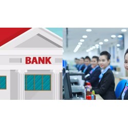 Khi nào chấm dứt hoạt động chi nhánh ngân hàng hợp tác xã?