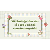 Viết bài tập làm văn số 6 lớp 9 cả 2 đề chọn lọc hay nhất