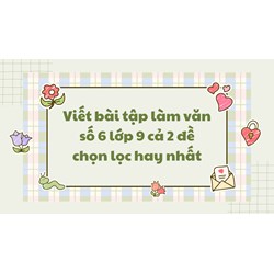 Viết bài tập làm văn số 6 lớp 9 cả 2 đề chọn lọc hay nhất