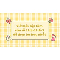 Viết bài Tập làm văn số 5 Lớp 11 đủ 3 đề chọn lọc hay nhất
