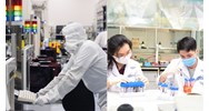 Sẽ có cơ chế thu hút nhân lực trình độ khoa học công nghệ cao từ nước ngoài