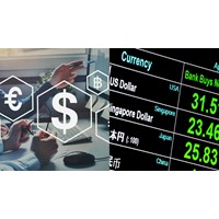Người nước ngoài tại Việt Nam có thể chuyển ngoại tệ ra nước ngoài để hoàn trả chi phí hỗ trợ cho công ty không?
