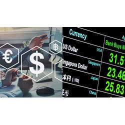 Người nước ngoài tại Việt Nam có thể chuyển ngoại tệ ra nước ngoài để hoàn trả chi phí hỗ trợ cho công ty không?
