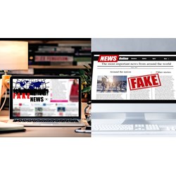 Mức phạt đối với hành vi giả mạo trang web là bao nhiêu?