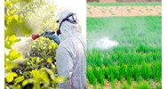 Có khởi tố công ty mua bán thuốc bảo vệ thực vật trong danh mục hết hạn lưu hành không?