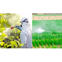 Có khởi tố công ty mua bán thuốc bảo vệ thực vật trong danh mục hết hạn lưu hành không?