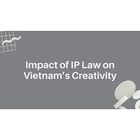 Vietnam's Creativity and the Impact of Intellectual Property Laws
