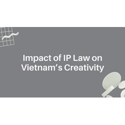 Vietnam's Creativity and the Impact of Intellectual Property Laws