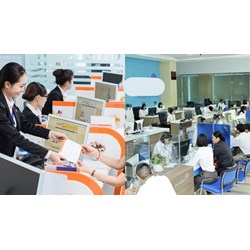 Điều kiện hợp tác xã vay vốn từ Quỹ quốc gia về việc làm