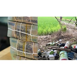 Mức phạt sử dụng thuốc thú y hết hạn để phòng bệnh động vật