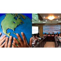 Tài khoản tổ chức phi chính phủ nước ngoài được mở và sử dụng?