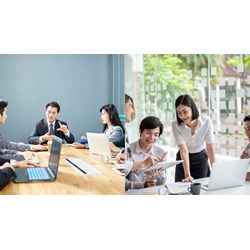 Tiêu chuẩn bổ nhiệm Trưởng phòng và tương đương thuộc Bộ ra sao?