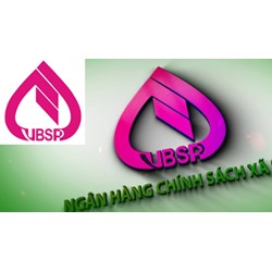 Các hình thức huy động vốn của Ngân hàng Chính sách xã hội