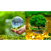 Việc cấp giấy phép môi trường cần dựa trên những căn cứ nào?