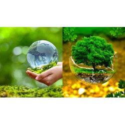 Việc cấp giấy phép môi trường cần dựa trên những căn cứ nào?