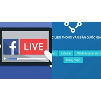 Nội dung văn bản thông báo thông tin liên hệ với Bộ TT&TT