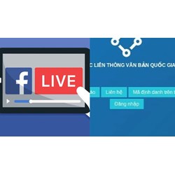 Nội dung văn bản thông báo thông tin liên hệ với Bộ TT&TT